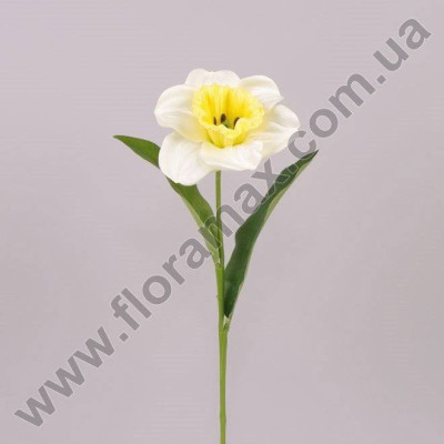 Квітка Нарцис біла 70853