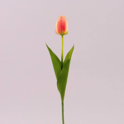 Квітка Тюльпан оранжева 70787