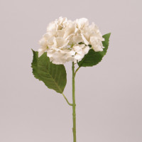 Цветок Гортензия кремовый 71114