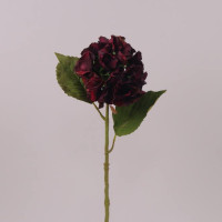 Цветок Гортензия темно-красный 71116