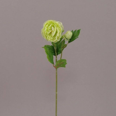Квітка Камелія зелена 70031