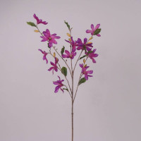 Квітка Магнолія фіолетова 70754