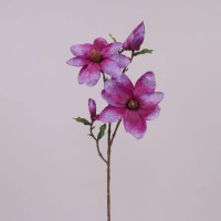 Цветок Магнолия фиолетовый 70758