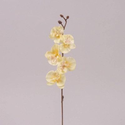 Квітка Фаленопсис міні жовта 70364