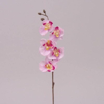 Квітка Фаленопсис міні рожева 70367