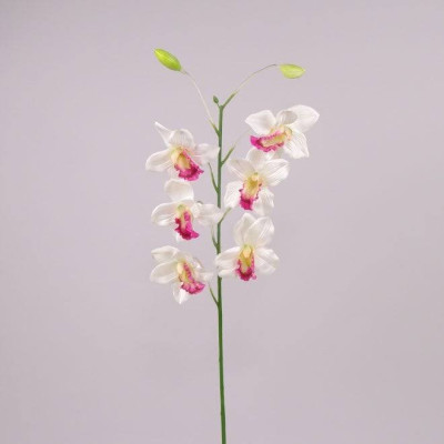 Квітка Цимбідіум біла 70710