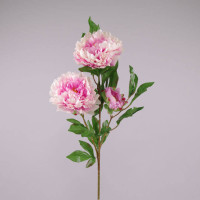 Квітка Півонія біло-рожева 70625