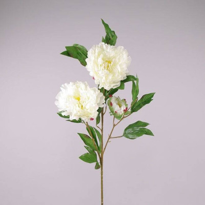 Квітка Півонія біла 70626