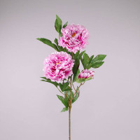 Цветок Пион светло-розовый 70627