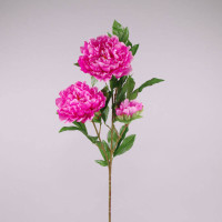 Квітка Півонія темно-рожева 70628