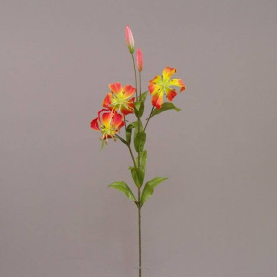 Цветок Глориоза красный 74999