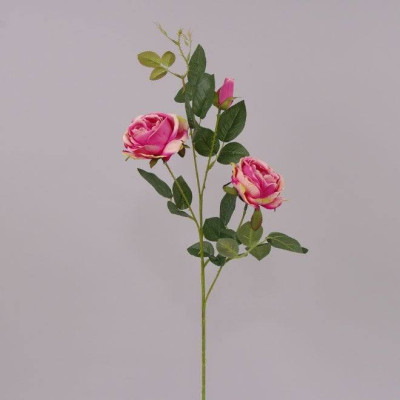 Цветок Роза розовый 70428