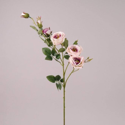 Гілка Троянди фіолетова 71006