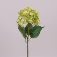 Цветок Гортензия зеленый 71197