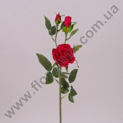 Цветок Роза красный 71272