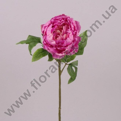 Цветок Пион розовый 71306