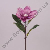Квітка Магнолія фіолетова 71354