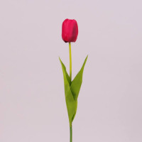 Цветок Тюльпан красный 71475