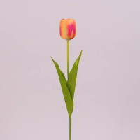 Цветок Тюльпан оранжевый 71478
