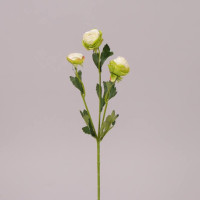 Цветок Камелия кремово-зеленый 71567