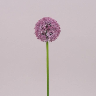 Цветок Чеснока фиолетовый 71605