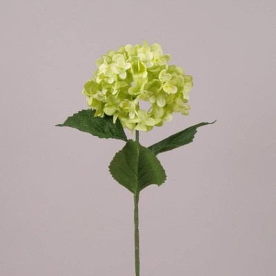 Цветок Гортензия зеленый 71709
