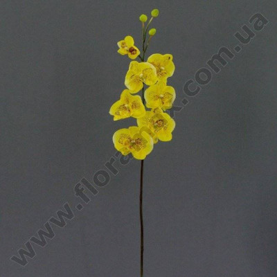 Цветок искусственный Фаленопсис К15.048.75