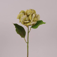 Цветок Гортензия зеленый 71777