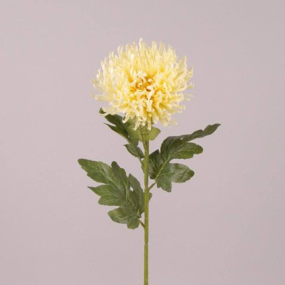 Цветок Хризантема кремовый 71821