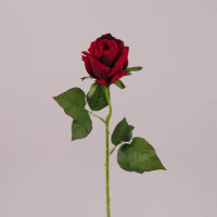 Цветок Роза красный 71817