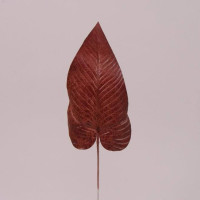 Лист Філодендрона коричневий 71866