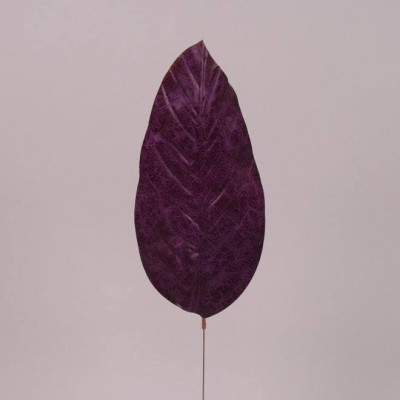 Лист Филодендрона фиолетовый 71878