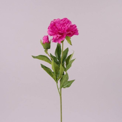 Цветок Пион темно-розовый 71977