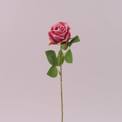 Цветок Роза розовый 72283