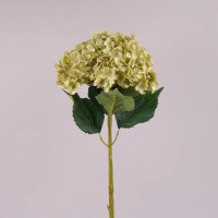 Цветок Гортензия оливковый 75 см. 72293