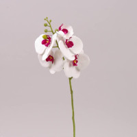 Цветок Фаленопсис из латекса белый с бордовой серединкой 72526