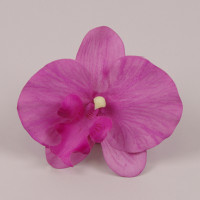 Головка Орхідеї Фаленопсис фіолетова 23840