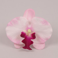 Головка Орхидеи Фаленопсис розовая 23841