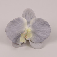 Головка Орхидеи Фаленопсис светло-голубая 23843