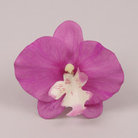 Головка Орхідеї Фаленопсис фіолетова з білою серединкою 23845