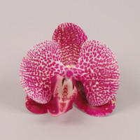 Головка Орхидеи Фаленопсис из латекса тигровая 23851