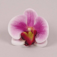 Головка Орхідеї Фаленопсис з латексу рожева 23852