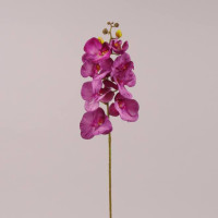 Цветок Фаленопсис фиолетовый 72607