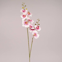 Цветок Фаленопсис из латекса розово-белый 73138