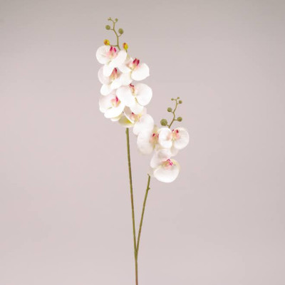 Цветок Фаленопсис из латекса белый с розовой серединкой 72619