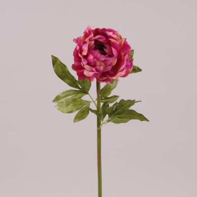 Цветок Пион розовый 72664