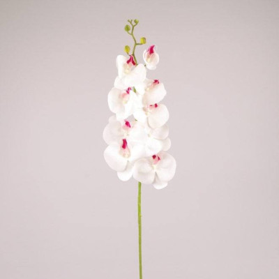 Цветок Фаленопсис из латекса белый с красной серединкой 73181