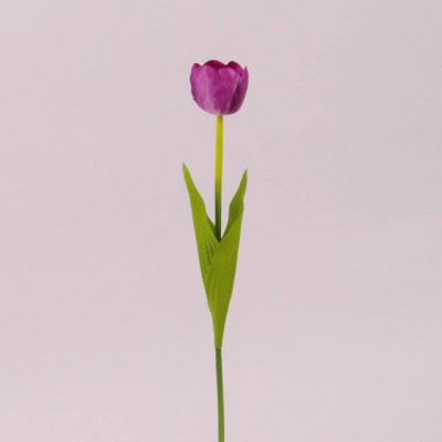 Квітка Тюльпан фіолетова 72712