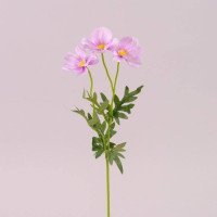 Квітка Польова світло-фіолетова 72736
