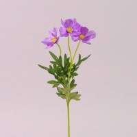 Квітка Польова темно-фіолетова 72737